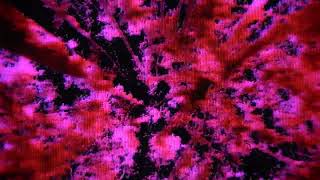 Louse – “Bed of Knives”