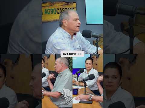 Choque de Notícias Agrícolas: A Verdade Sobre os 42 Mil Hectares de Amendoim em Mato Grosso do Sul!