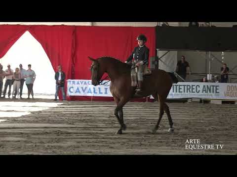 ARTE EQUESTRE TV - CARLOS CANIATO - COPPA ITALIA CAT. INIZIATI - TRAVAGLIATO CAVALLI 2025