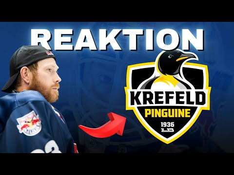 Krefeld Penguins rescue Danny from the birch trees | REACTION