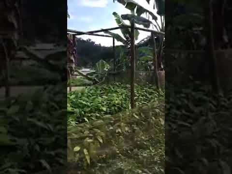 Kumba- Mamfe road attack 10/09/22 | General transporter | Ambazonia breaking news