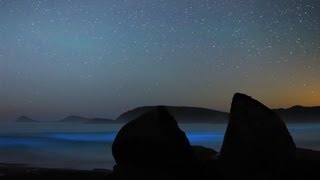 Liquid Light Show (Aurora and Bioluminescence)