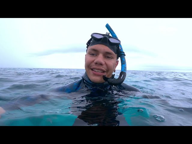 Revealed: Reefshot | Trailer