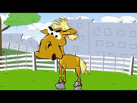 KOŃ RAFAŁ -  PEWNEGO RAZU DO WIDZENIA