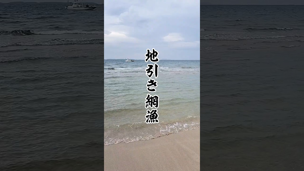 いのち　#shorts #命の尊さ #食育 #感謝 #漁師 #学び #敬意 #gratitude #respect #魚 #capcut