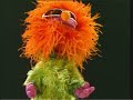 Plaza Sésamo Sesame Street Opposite Stuff Latin Spanish