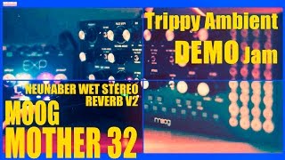 Video thumbnail for MOOG MOTHER 32 Trippy Ambient DEMO JAM & Unboxing / Neunaber Wet Stereo Reverb V2 EXP Slate (#47) by VolcaRock