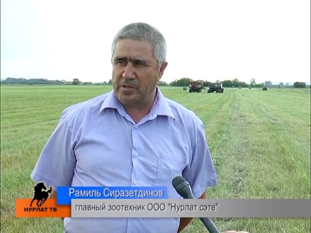 Сенокосная пора 