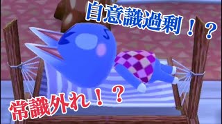 どうぶつの森 Part1   自意識過剰の常識外れ現る！車オシャンティーになる！