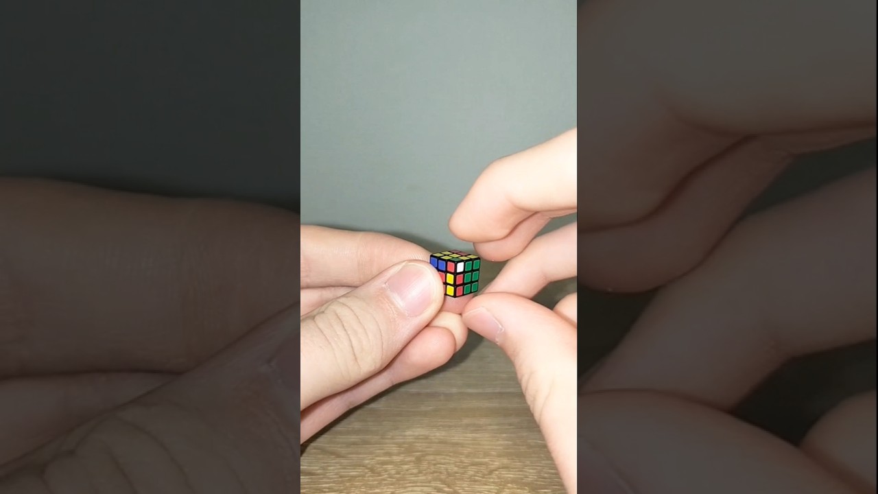 normal ,  little small , little big