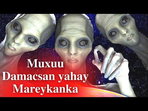 CİİDAN MİYAA CİRKA LA GEYN RABBAA XAQİİQOOYİNKA MUSTAQBALKA