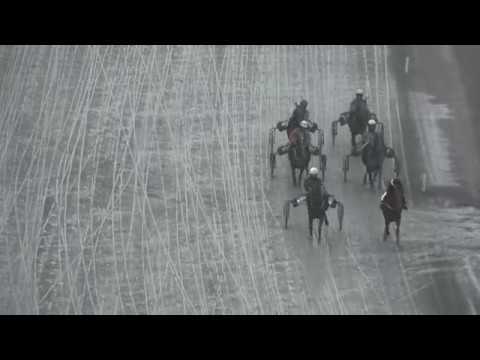 Licenslopp Solvalla 18 nov 2017