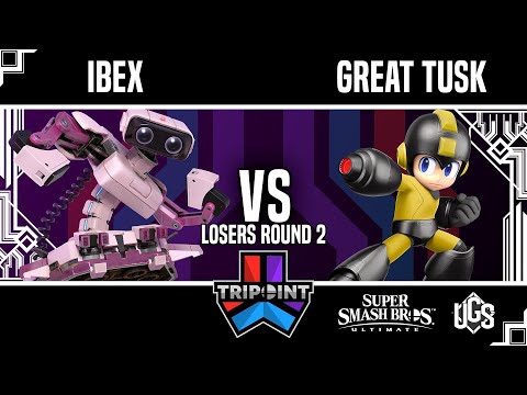 Tripoint Smash 179 - Losers Round 2 - IBEX(ROB) Vs. Great Tusk(Mega Man)
