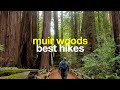 3 Must-Do Hikes in Muir Woods National Monument