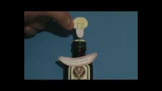 Die Toten Hosen - Zehn kleine Jägermeister | by: Kalapacs