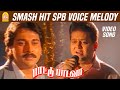 சின்ன கண்மணிக்குள்ளே Chinna Video Song Paattu Padava S P Balas