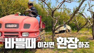 복숭아 약치다 수렁에 빠진 SS기 구출작전