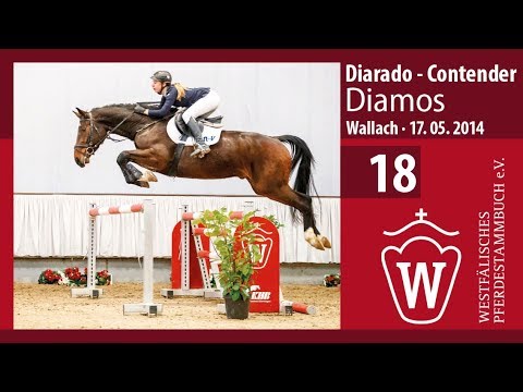 18 Diamos  Wallach v. Diarado - Contender