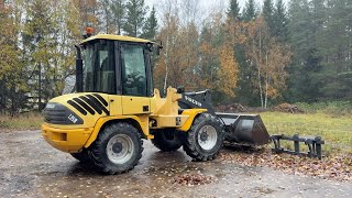 Venta de Volvo L35 B/Z cargadora de ruedas - Imagen 4 | Machineryline CL Volvo L35 B/Z cargadora de ruedas | Imagen 4 - Machineryline