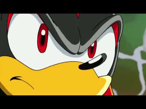 Never Forget | Sonic X AMV