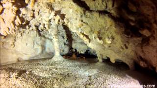 Diving Gozo, Malta, Shrimps Cave, one of Gozo's best Cave dives