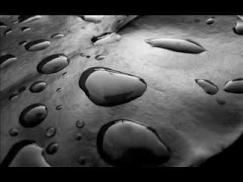 Shara Nelson - Go That Deep Charles Webster