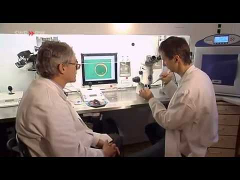 Unglaublich Mißgeburten von Mensch und Tier durch Chemikalien