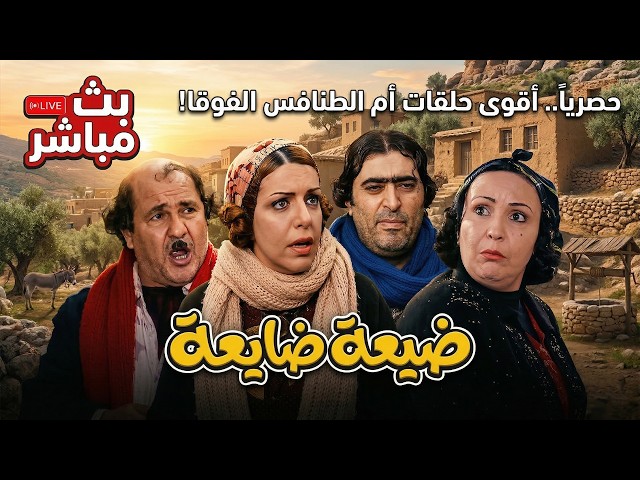 Sama Art International | سامه للإنتاج الفني