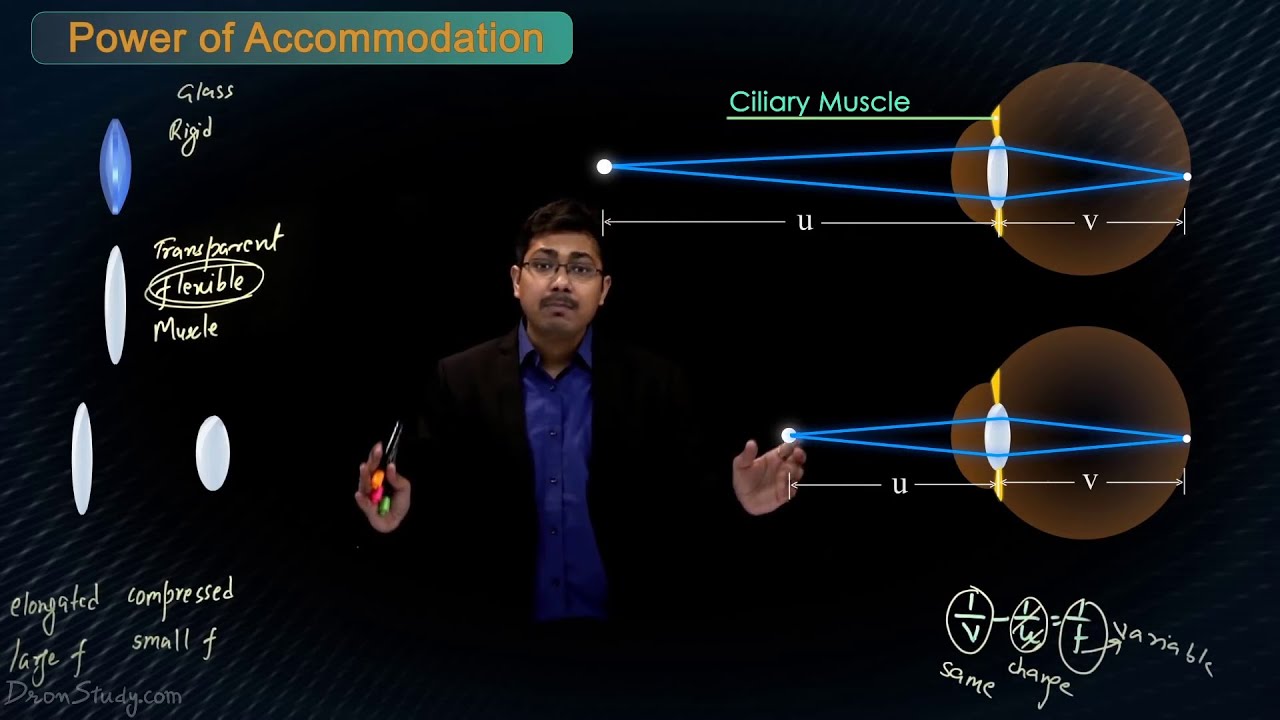 Human Eye - Power of Accommodation of Human Eye - (Chapter 13): CBSE Class 10 Science | Toppr Study