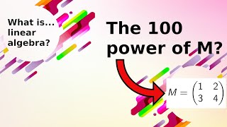 What is...the characteristic polynomial?