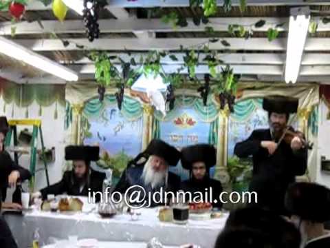 Sukkos 5773 In Pshevorsk Williamsburg