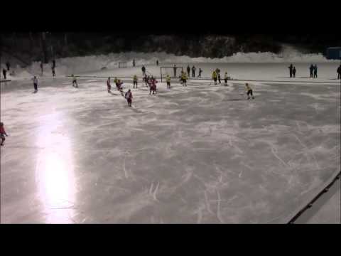 Bandyliiga JPS-WP 35 7-3 Maalikooste