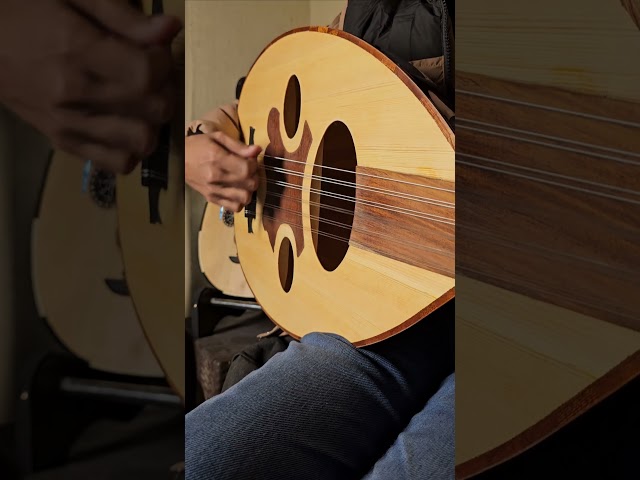 عود نص لوكس