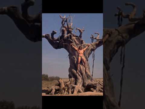 Conan: The Barbarian, The Tree of Woe #conan #movie #arnoldschwarzenegger
