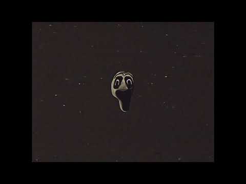 Promissum Collection 2 Official Trailer (Episode Titles Reveal)