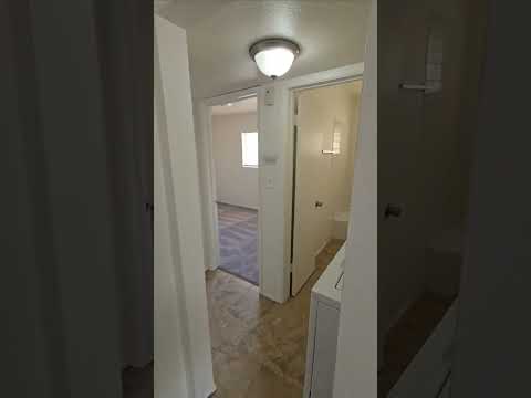 Abronia 6212 - Video 2 of 2