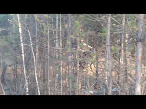 Zapowiedź odcinka :)