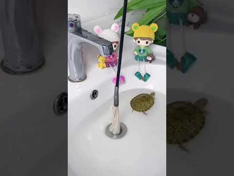 Hair Catcher Drain Spring Drain