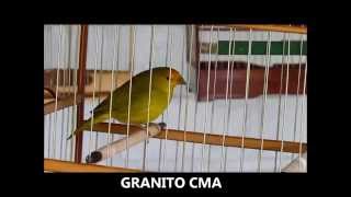 GRANITO CMA - TRAMONTINA CMA - ALPHORRIA CMA - PÉ DE PANO CMA