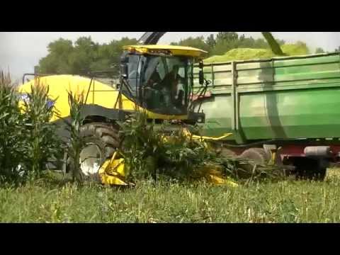 New Holland FR600 (Silage 2014)