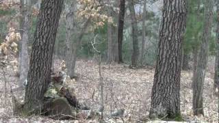 preview picture of video 'Wisconsin Turkey Youth Season 2011'