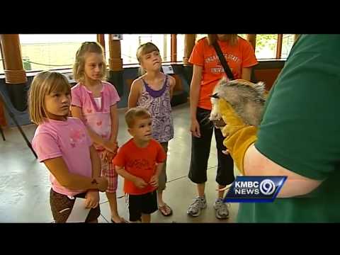 Noctural critters get rare daytime spotlight