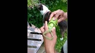 Earth Rated Dog Poop Bag Dispenser - How to change bags