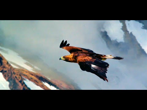 Sargant Fury - Eagle (ABBA cover)