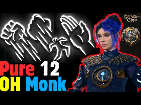 PURE 12 Way of the Open Hand MONK Build - Baldur's Gate 3