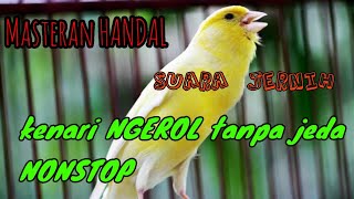 Download lagu SUARA KENARI GACOR DURASI PANJANG TANPA PUTUS COCOK BUAT MASTERAN / KENARI MANDEK mp3 Download lagu SUARA KENARI GACOR DURASI PANJANG TANPA PUTUS COCOK BUAT MASTERAN / KENARI MANDEK mp3