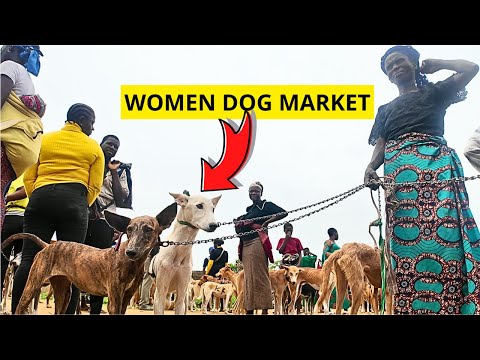 The DOG Market You Never Knew Existed in Nigeria