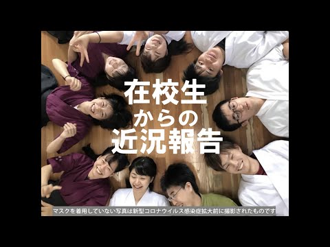 人文学科 在校生からの近況報告等