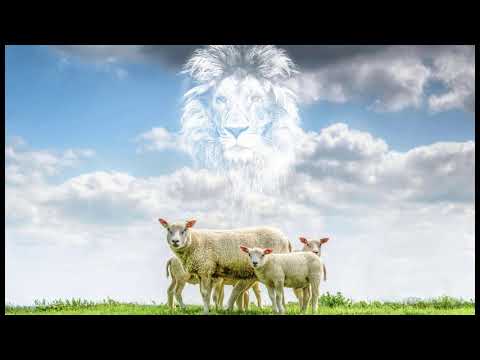 Der Bibelpodcast #262 - Apostelgeschichte 27 - Römer 2