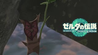 いくら困難な道のりでも人は乗り越えられる。例え逆走だとしても、【＃４】【ゼルダの伝説 ティアーズ オブ ザ キングダム】